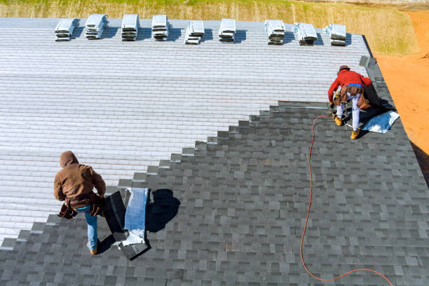 Best Roof Gutter Cleaning  in Riner, VA