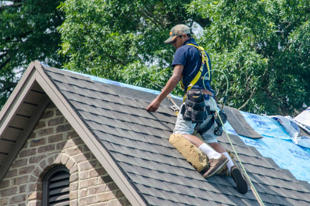 Best Roof Maintenance Services  in Riner, VA